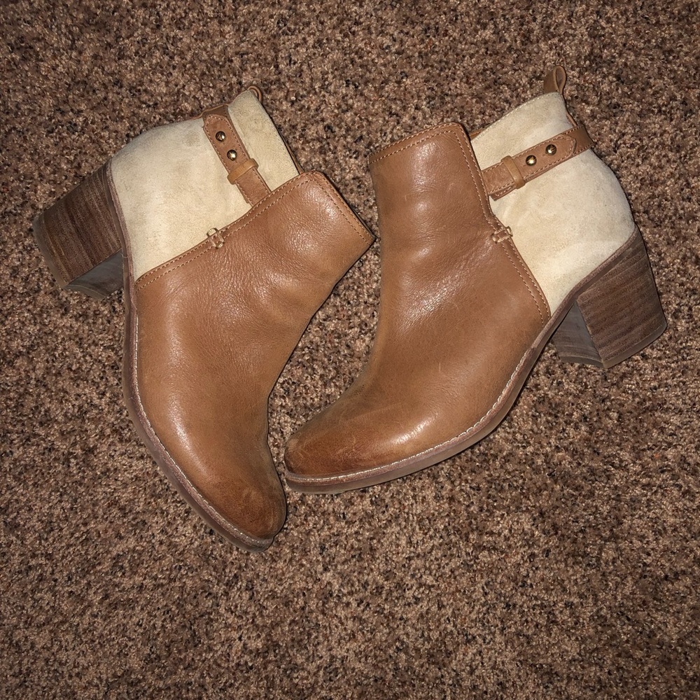 Women Sperry Top Spider Ambrose ankle high booties